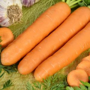 Рассада Морковь Витаминная 6 в кассете Е6 шт