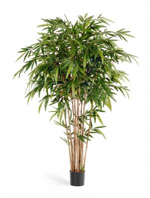 Бамбук Новый натуральный 150 см 2/2 10.35705N
