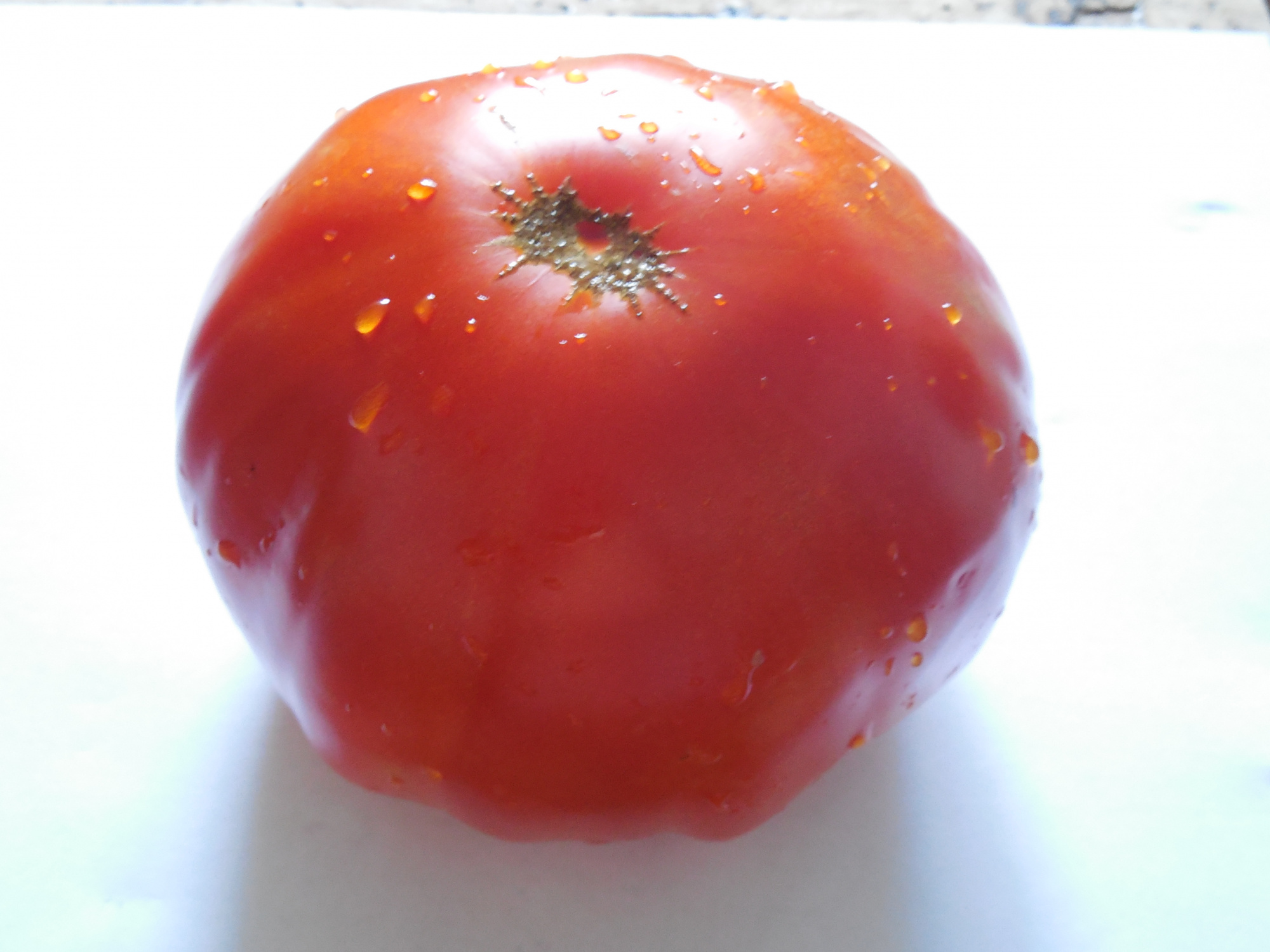 Рассада Томат "Мега Марв" сорт с самыми крупными плодами, среднеспелый, индетерминантный, красный, d-5 см