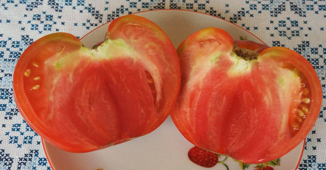 Рассада Томат "Шунтукский великан" сорт с самыми крупными плодами, среднеспелый, индетерминантный, красный, d-5 см