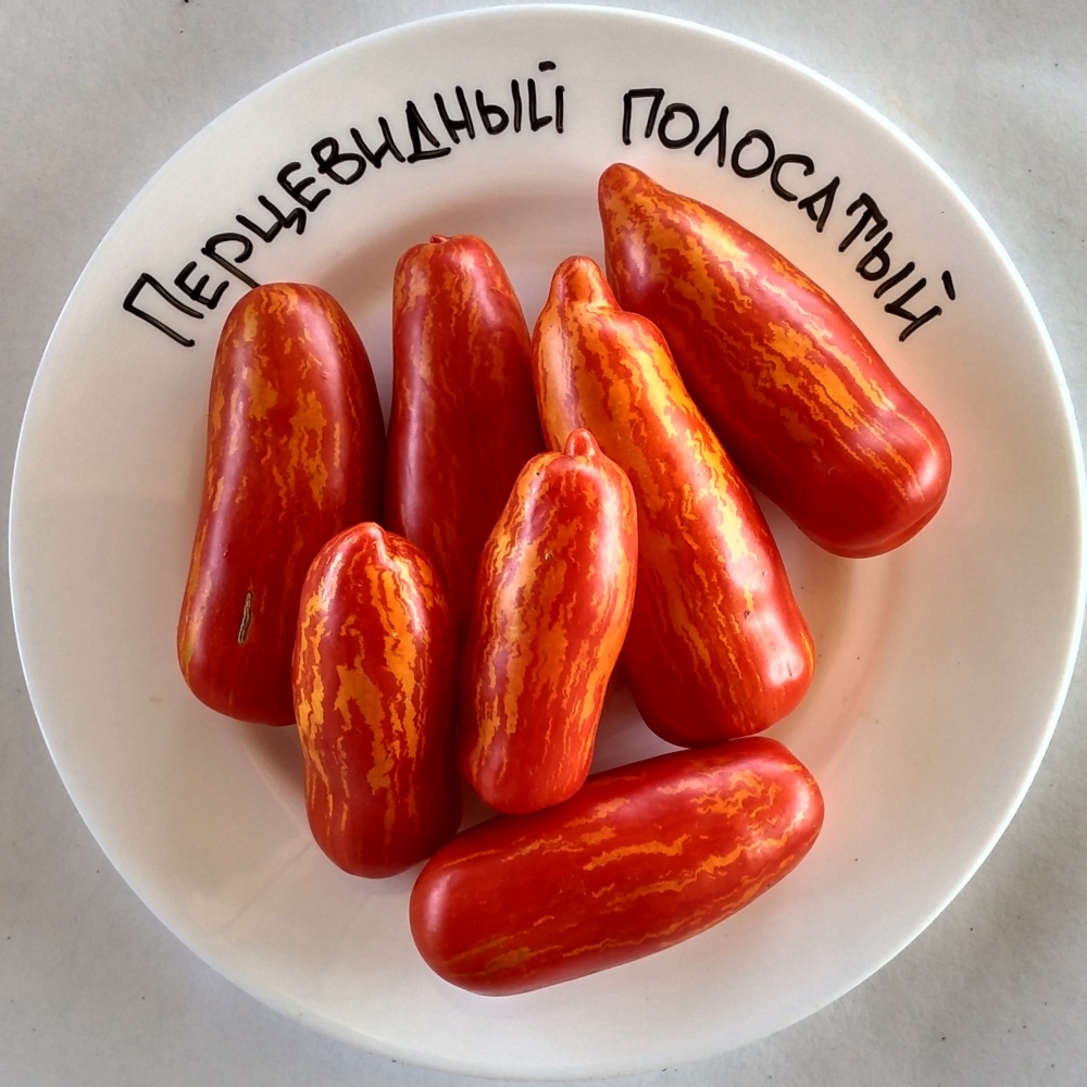 Полосатый сорта томат Перцевидный