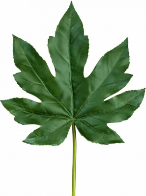 Лист Аралии тёмно-зелёный в-42 см (лист 16х17 см) 24/288 30.0611079