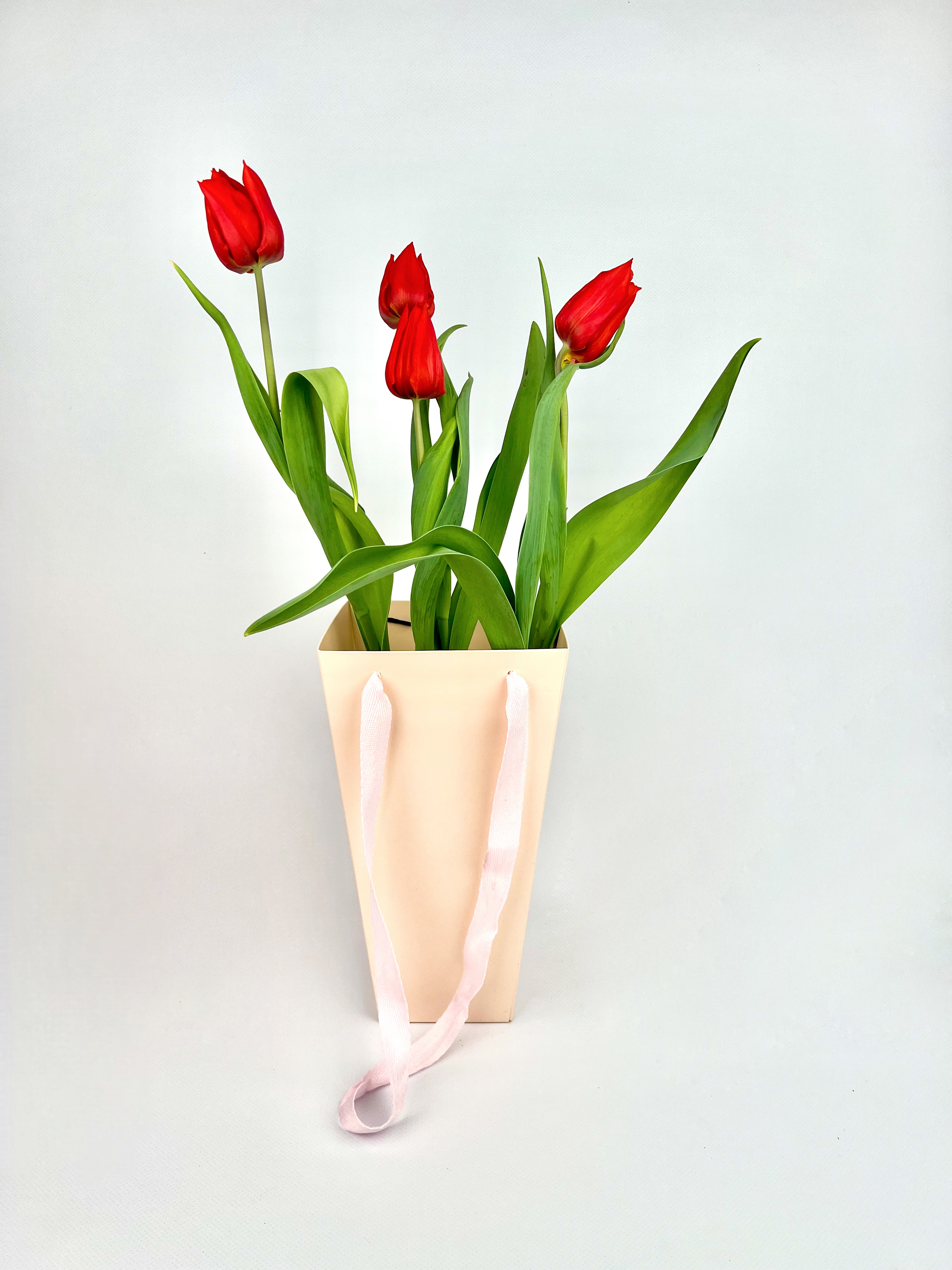 Тюльпаны в плайм пакете 5 шт в d-12 см в ассортименте