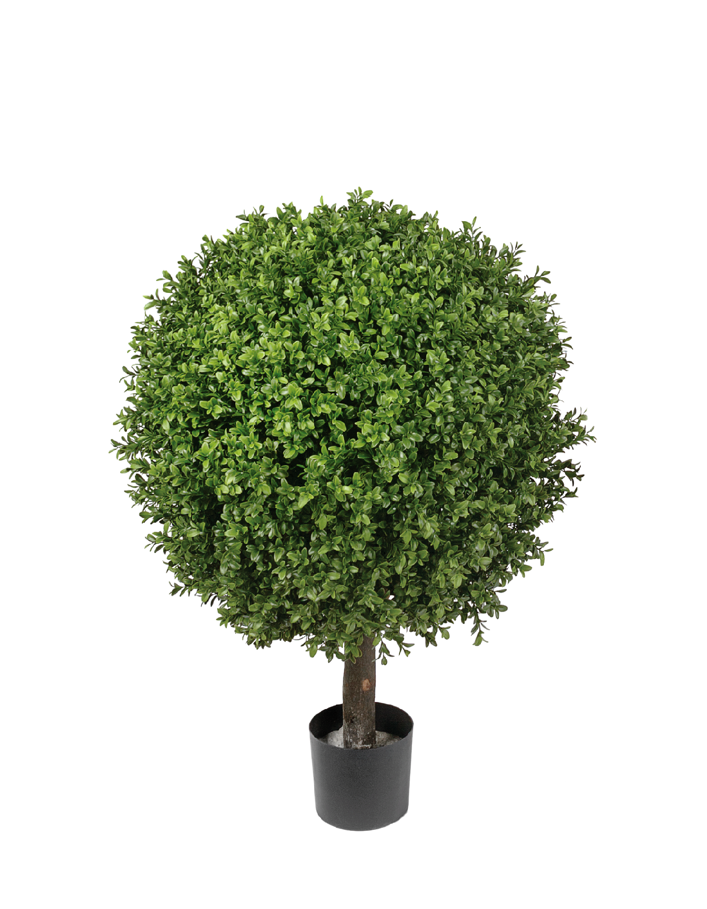 Самшит Шар уличный новый в-55, д-40 см 2/2 10.44540N