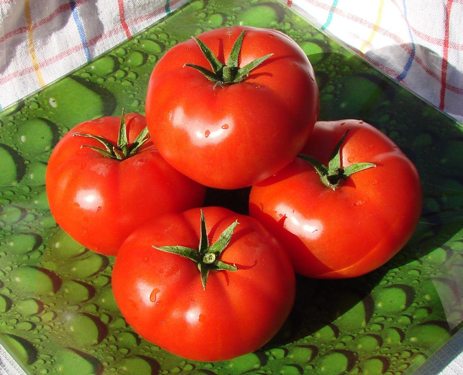 Первые семена томаты. Томат Бобкат f1. Семена томат Бобкат f1. Томат Эйджен f1. Томат Сибирский Пируэт.