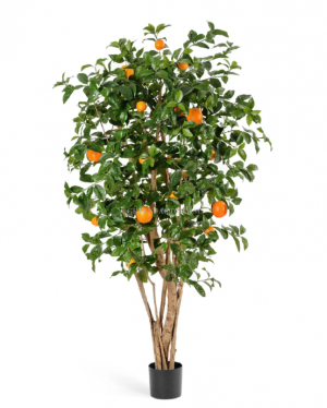 Апельсиновое дерево с плодами в-180 см 2/2 10.40306N