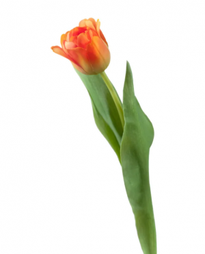 Тюльпан Даймонд оранжевый в-44см, цветок в-5, д-5 см 12/144 30.0613150OR