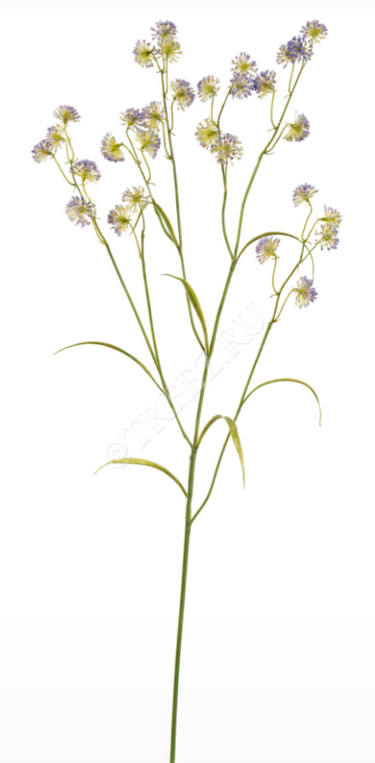 Астранция Вайлд светло-сиреневая в-80 см, 3 ветки 12/72 30.0617214LB