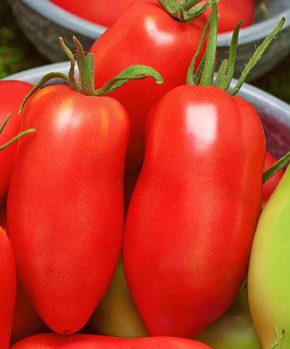 Рассада Томат Непас Морковный сорт среднеспелый, детерминантный, красный, d-5 см