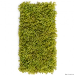 Мох Ягель коврик зелёный микс 25х50 см (пластик) 20/20 20.072027N-M