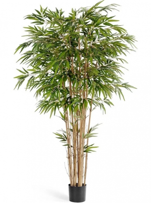 Бамбук натуральный 150 см 2/2 10.35605N