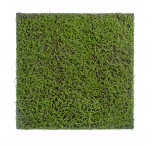 Мох Сфагнум Fuscum оливково-зелёный (полотно на подложке) 50х50 см 48/48 20.0820412S