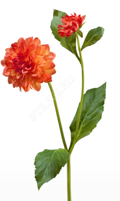 Георгин оранжевый в-48 см, д-8 см 1цв 1бут 12/144 30.03070033/1