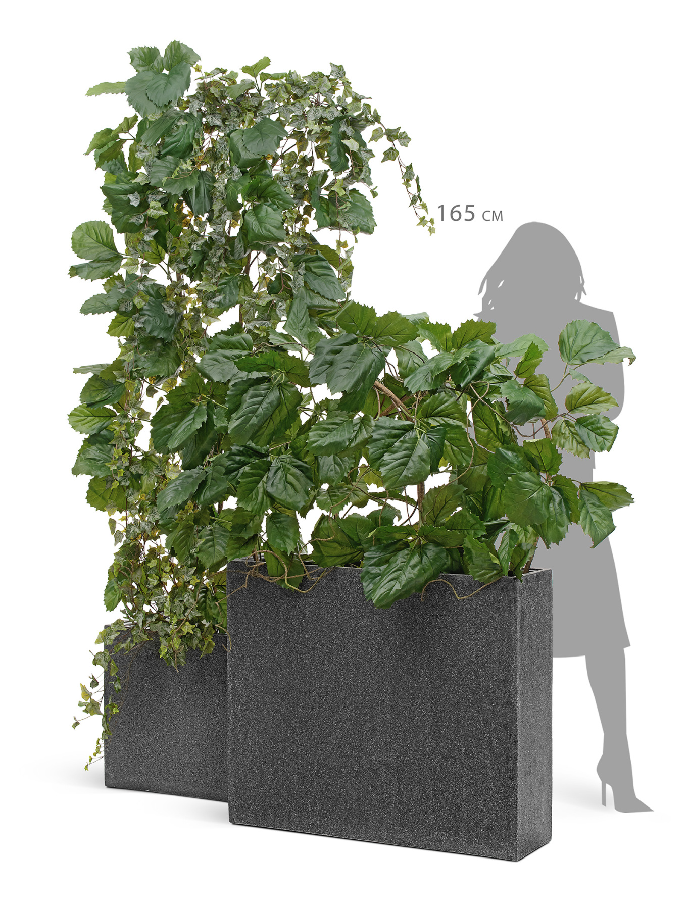 Кашпо TREEZ Effectory Stone Высокий Дивайдер Тёмно-серый камень в-75, д-92, ш-25 см 1/1