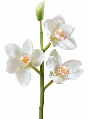 Орхидея Цимбидиум ветвь белая малая в-50 см, 3 цв, 1бут 12/48 30.0611084WH