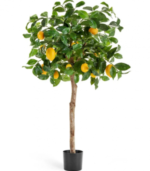 Лимонное дерево с плодами на штамбе в-110 см д-50 см 2/2 10.59704N