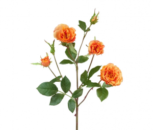 Роза Вайлд ветвь персиково-оранжевая в-41 см 3цв,3бут 24/144 30.0613111OR