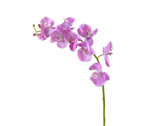 Орхидея Фаленопсис Мидл розово-белая в-76 см 9цв,3бут 6/36 30.0611086LPK