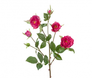 Роза Вайлд ветвь тёмно-малиновая в-41 см 3цв,3бут 24/144 30.0613111FU