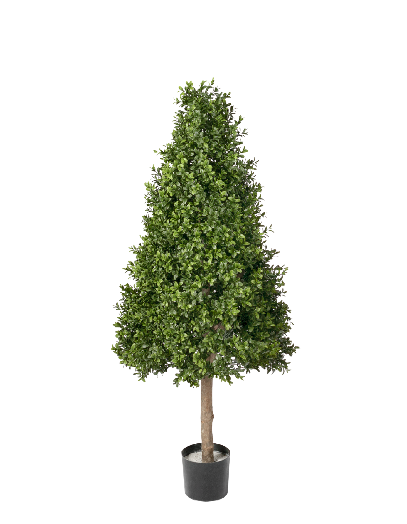 Самшит Тауэр уличный новый в-105 см 2/2 10.44104N