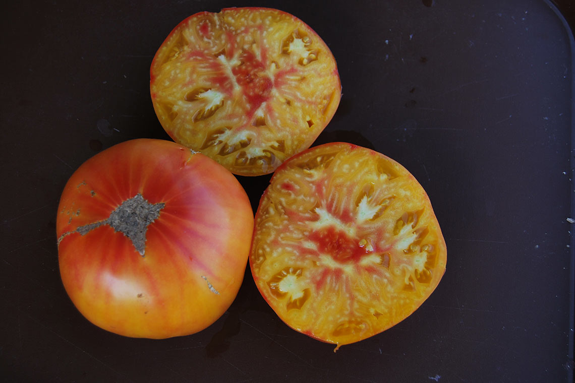 Рассада Томат "Грейпфрут" сорт среднеспелый, индетерминантный, оранжевый, d-7 см