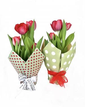 Тюльпаны в подарочной упаковке к 8 марта 5 шт в  d-12 см в ассортименте