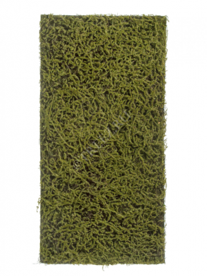 Мох Сфагнум Fuscum зелёный (полотно на подложке среднее) 50х100 см 24/24 20.0820411M