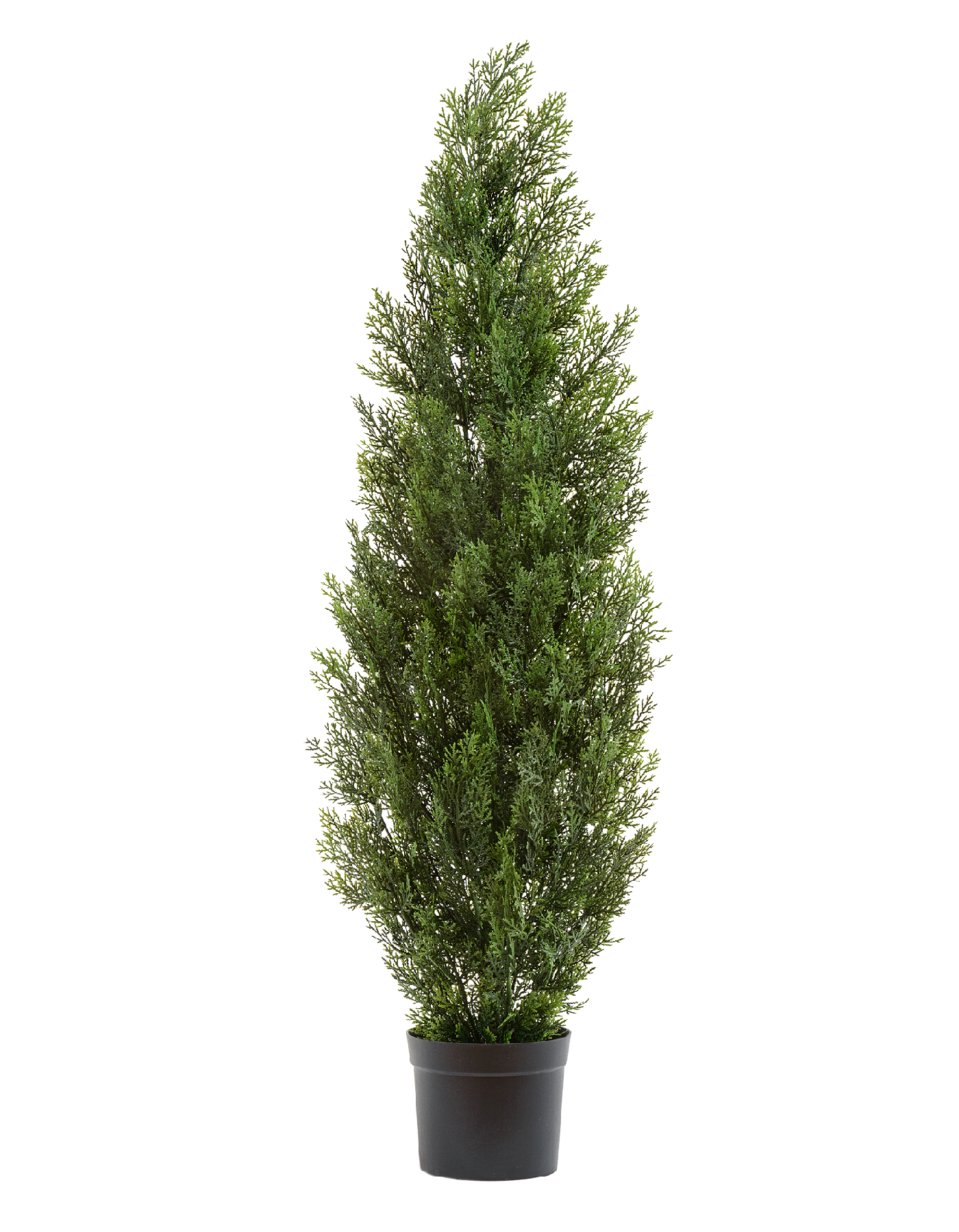 Туя уличная Эйр Элеганс в-150 см 2/4 10.0215054/5N