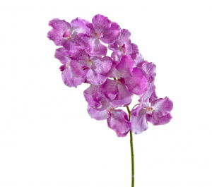 Орхидея Ванда с ярко-сиреневыми прожилками в-75 см, 10цв 8/32 30.0610042LPR