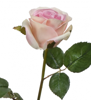 Роза Джулии нежно-розовая с кремовым в-53 см 1цв в-6,д-8 см 12/144 30.03160260LP