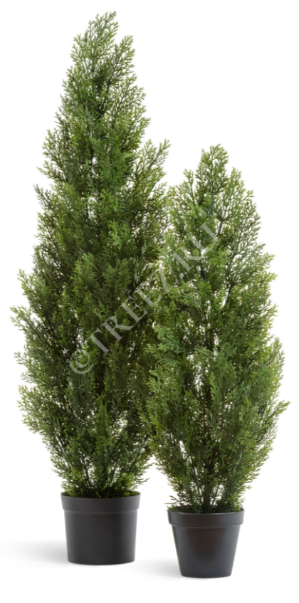 Туя уличная Эйр Элеганс в-90 см 4/12 10.0215054/3N