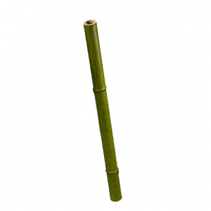 Бамбук стебель полый св. зелёный толстый в-60 см, д-4 см 6/48 30.0611062SM