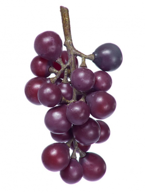Виноград чёрный гроздь малая в-15 см 8/192 30.0313047