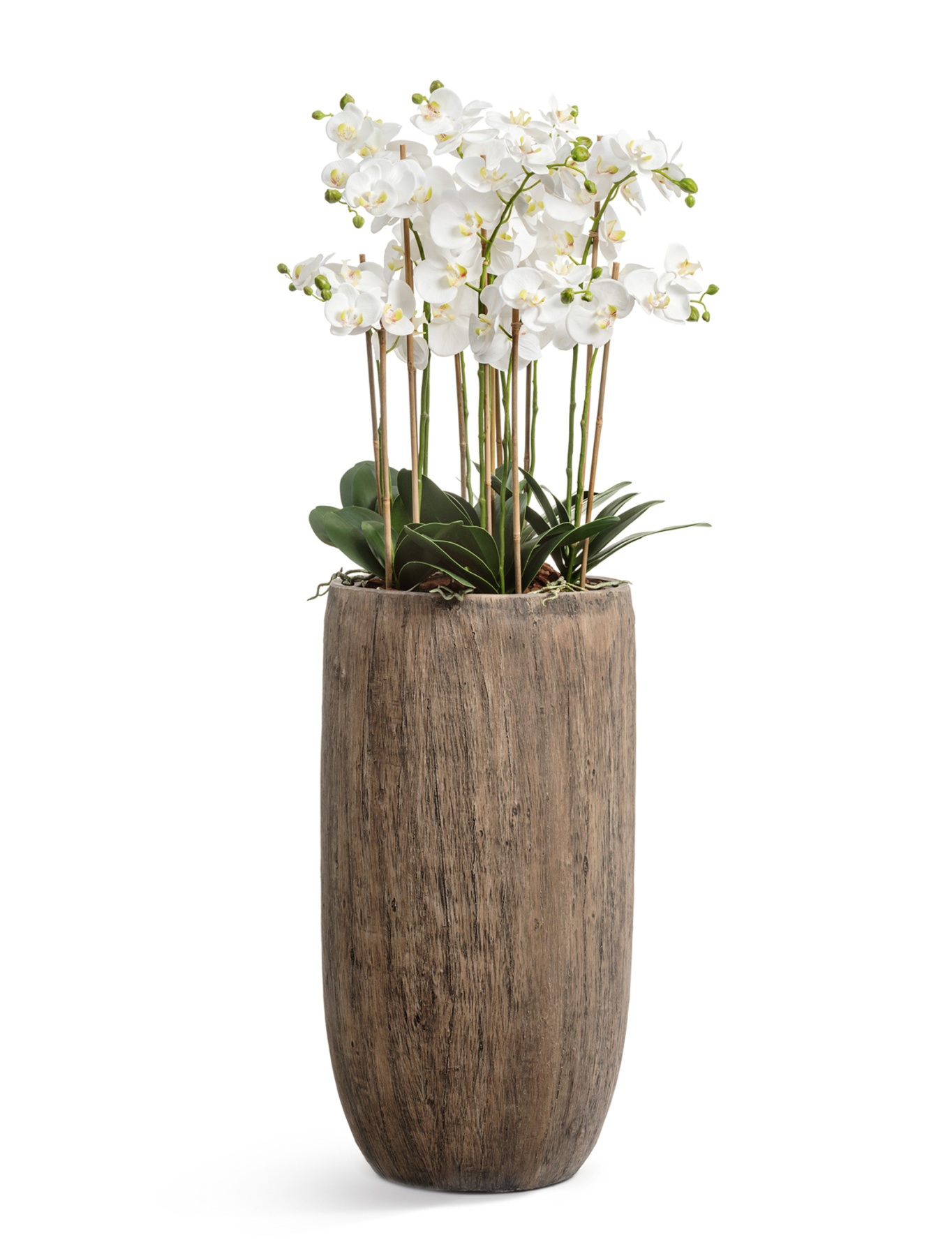 Кашпо TREEZ Effectory Wood Высокий округлый конус Светлый дуб в-65 см, д-30 см 41.3317-03-011-WB-65