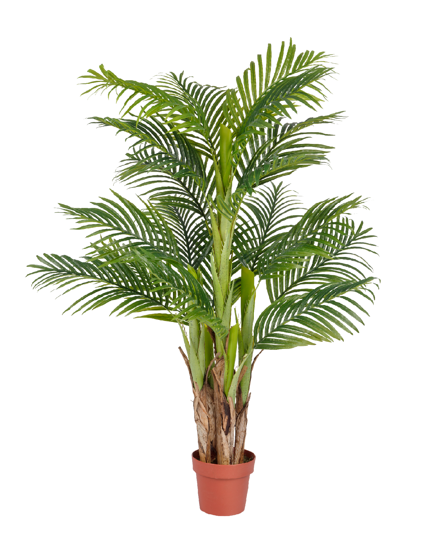 Пальма Арека Катеху в-140 см (Sensitive Botanic) (5 стволов, 18 листьев) 2/2 10.071409