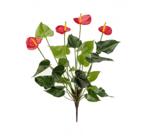 Антуриум куст де люкс красный в-45 см 4 цветка 6/24 20.1108R