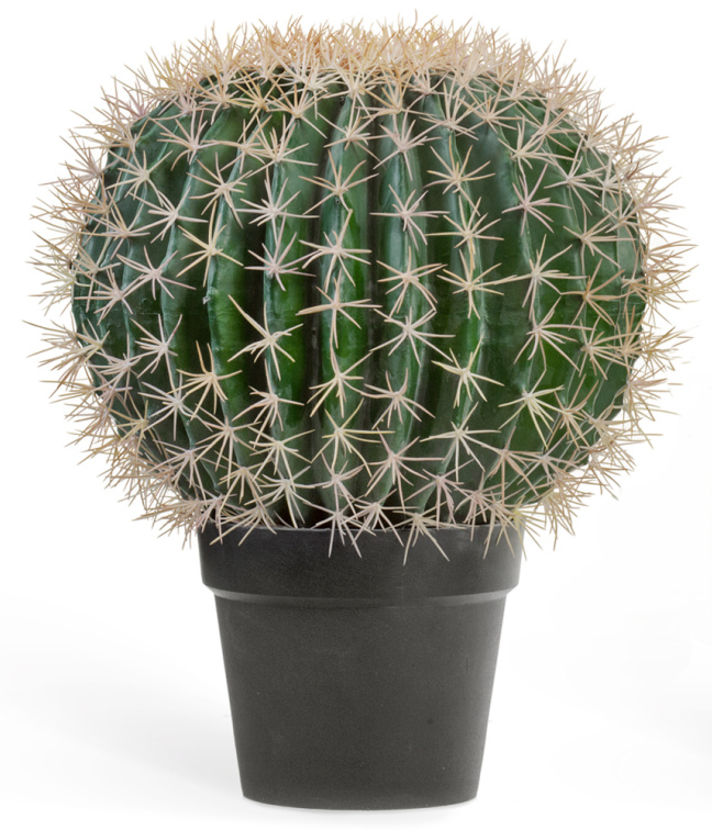 Кактус Баррель в-35, д-25 см 1/4 10.091830N