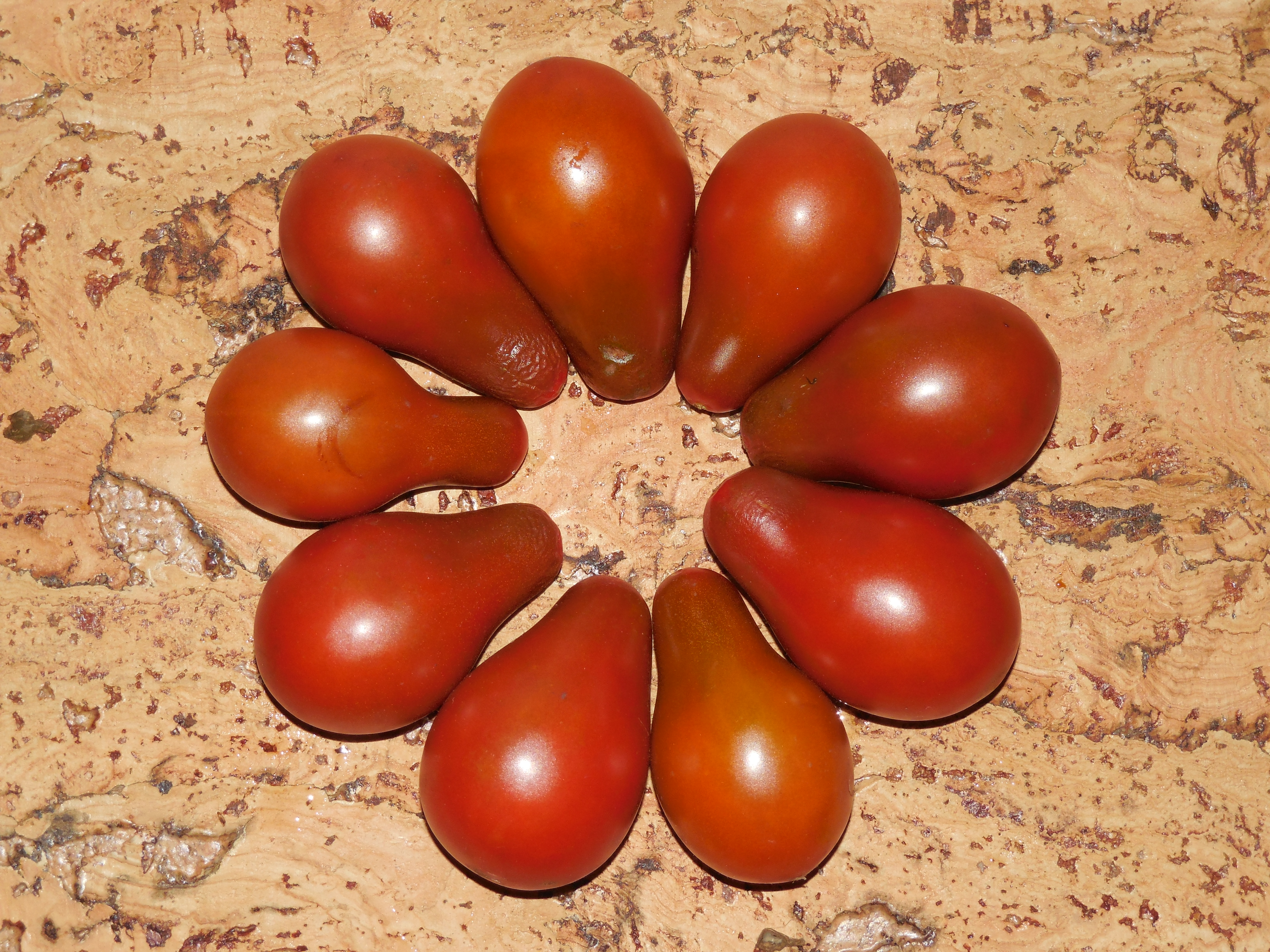 Рассада Томат "Джессика" сорт раннеспелый, индетерминантный, красный, d-5 см