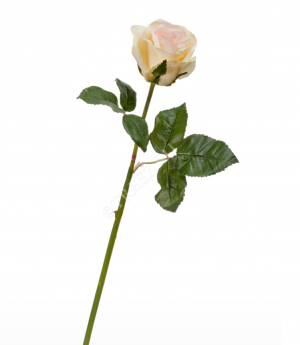 Роза Джулии нежно-персиковая с лимонным в-53 см 1цв в-6,д-8 см 12/144 30.03160260PK