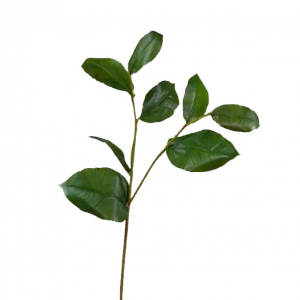 Ветвь Салала с зелёными листами в-40 см 24/144 30.0611071
