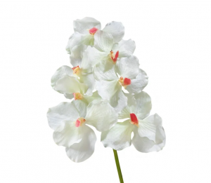 Орхидея Ванда белая с роз. сердцевинкой в-36 см 7 цв 12/48 30.0611083CR